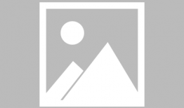 今日晴宜吃瓜图片,今日晴宜吃瓜时光