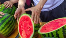 预测今日吃瓜,揭秘娱乐圈最新热点事件